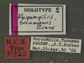 Media type: image;   Entomology 31320 Aspect: labels
